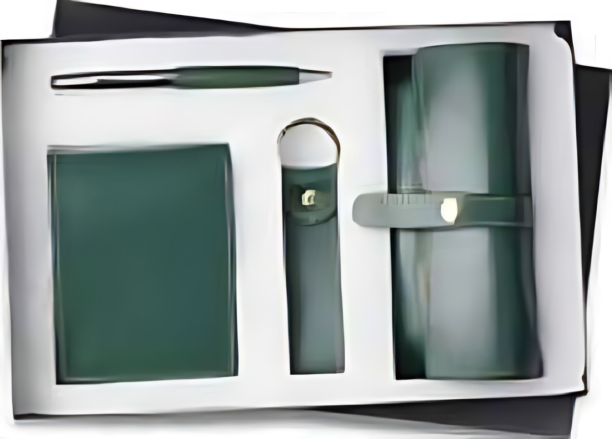 Pen, Keychain Wallet & Goggles Gift Set – 407 Green – corporate gift