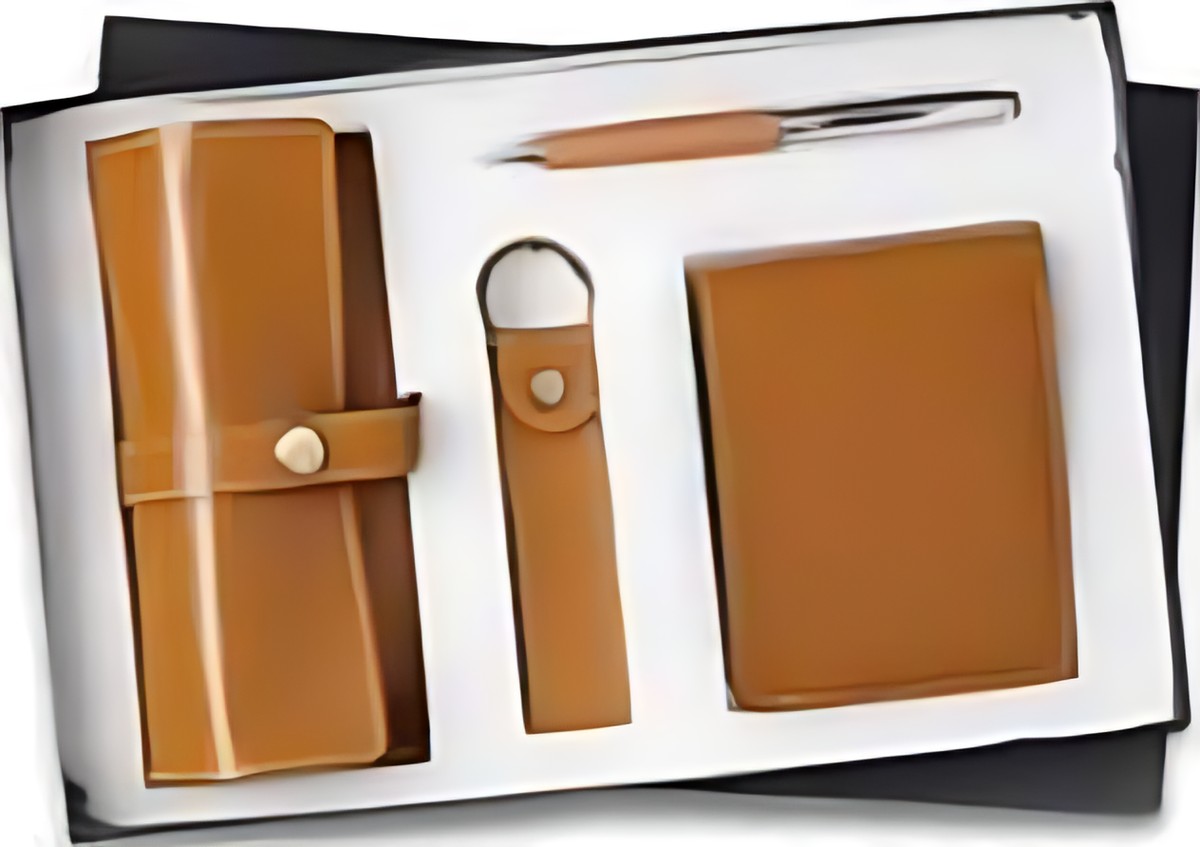 Pen, Keychain, Wallet & Goggles Gift Set – 407 Tan – corporate gift