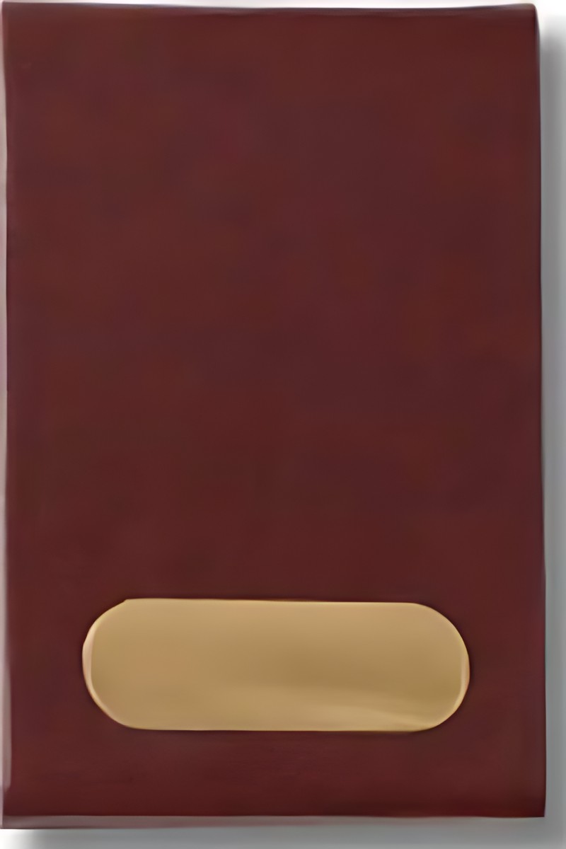 306 Brown Gold Card Case – corporate gift