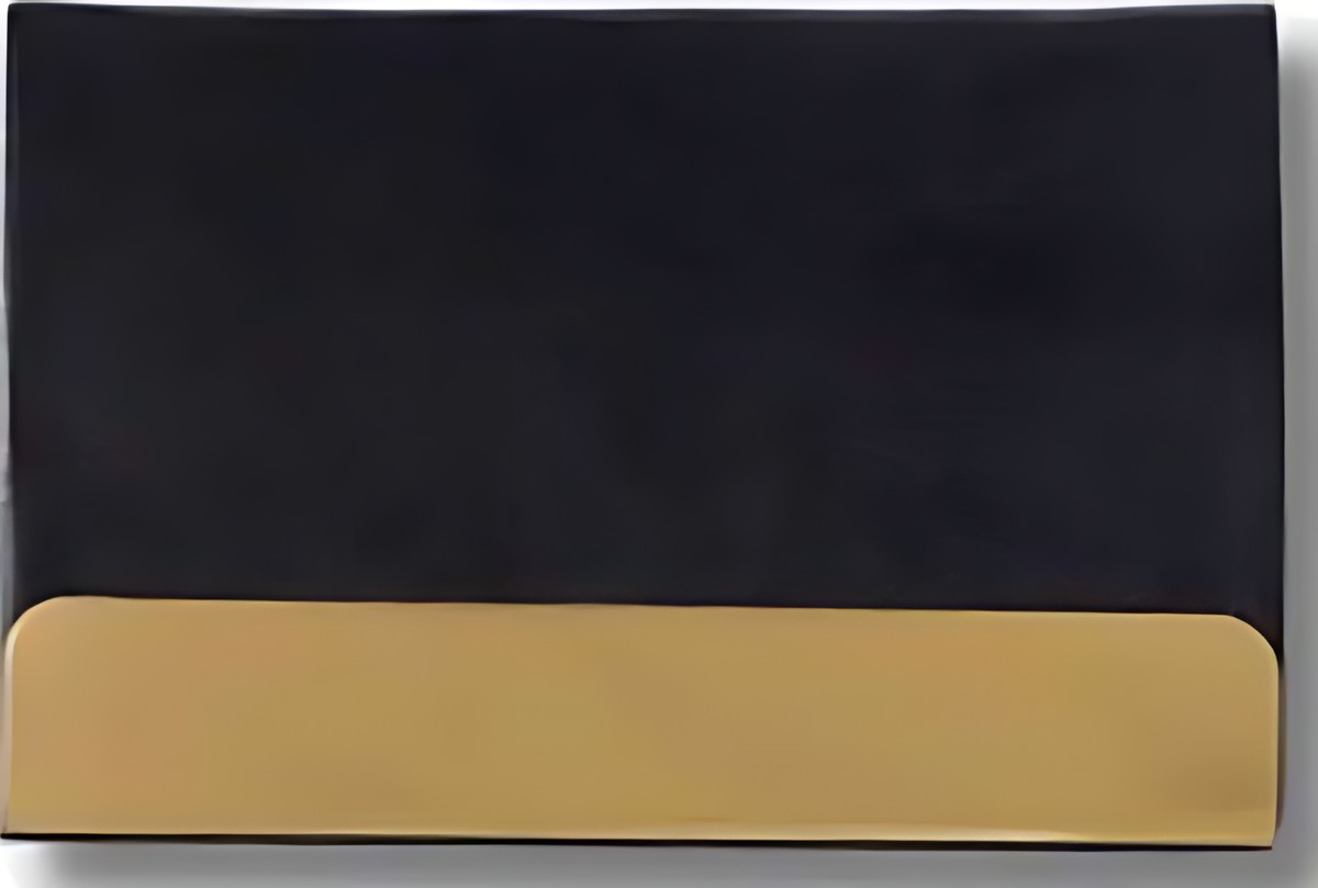 310 Gold Card Case – corporate gift