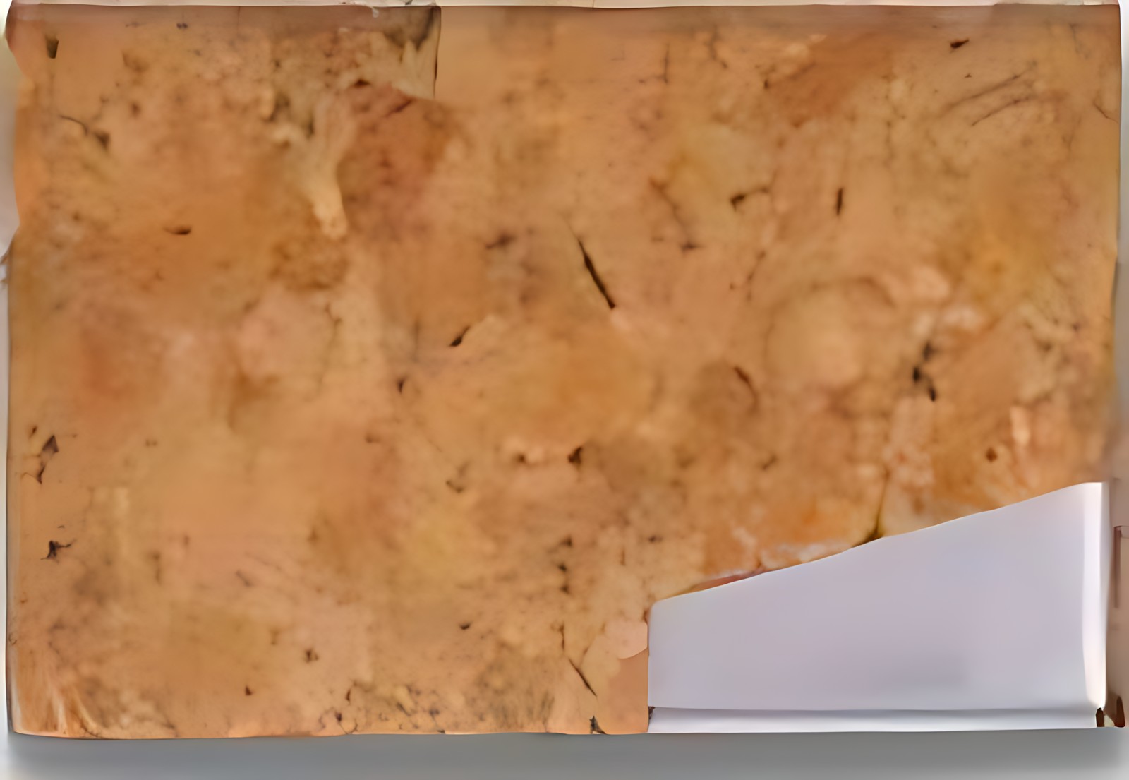 Cork Card Case – corporate gift