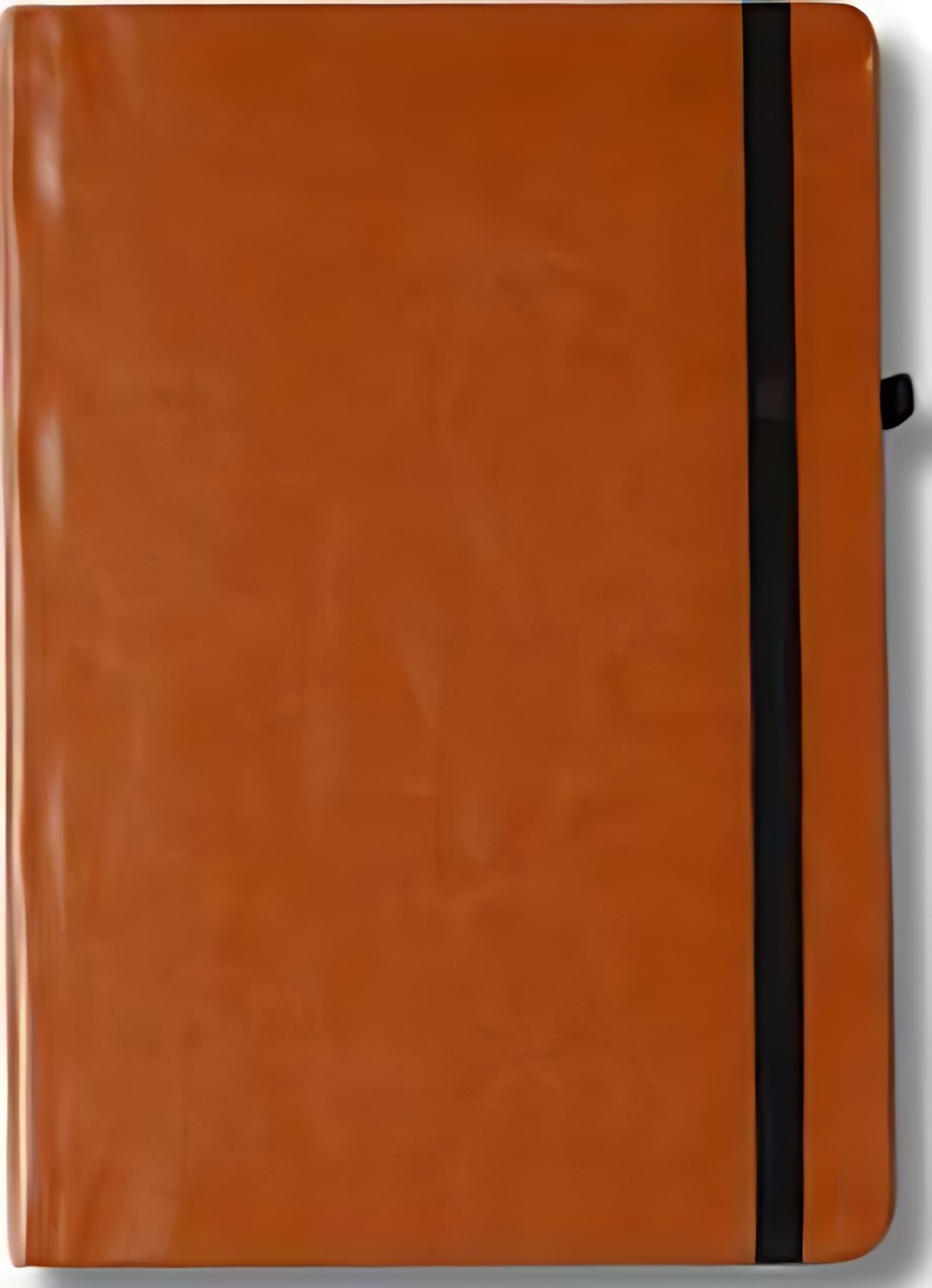208 Tan Elastic Diary – corporate gift