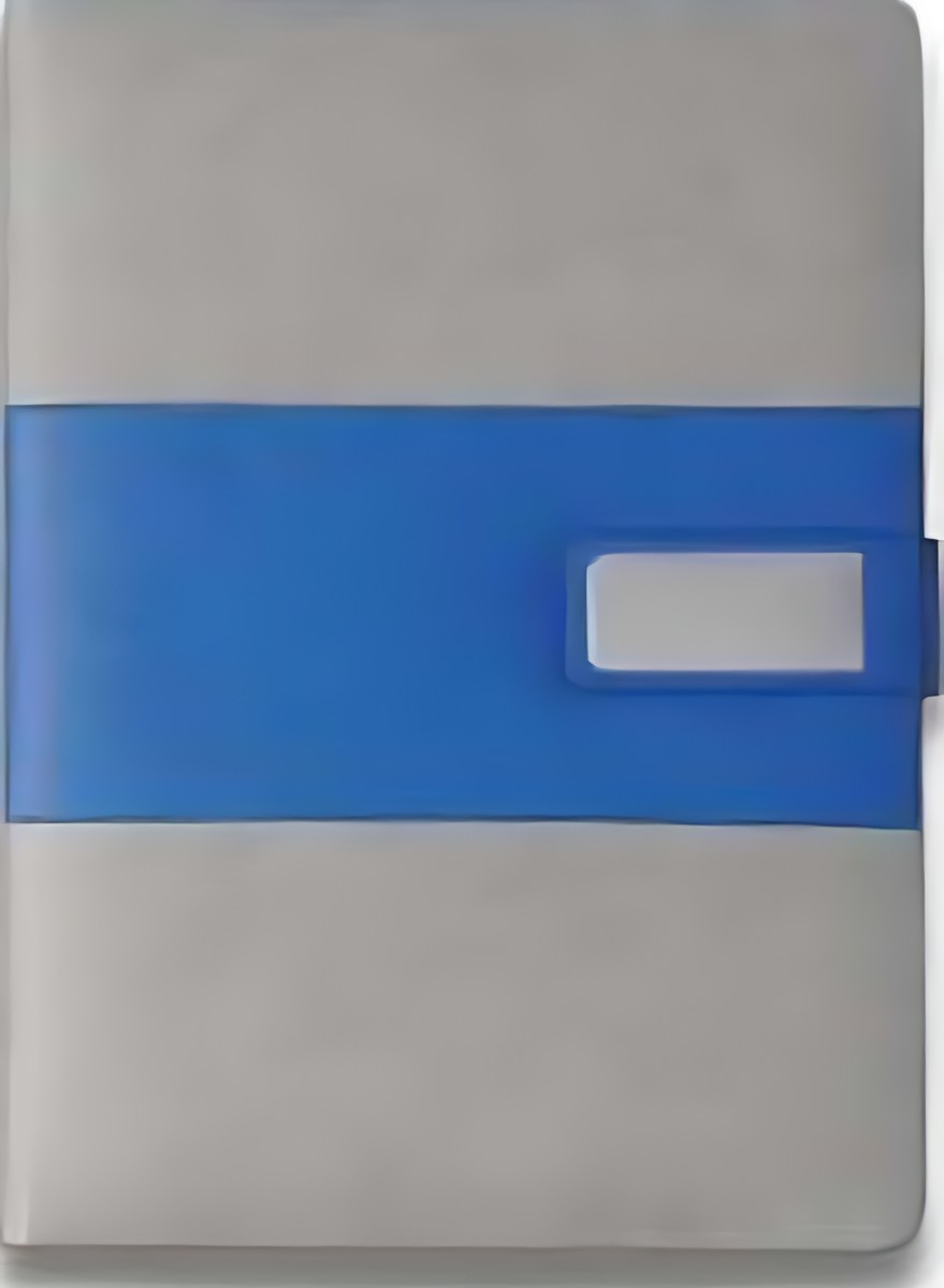 305 GB Diary – corporate gift