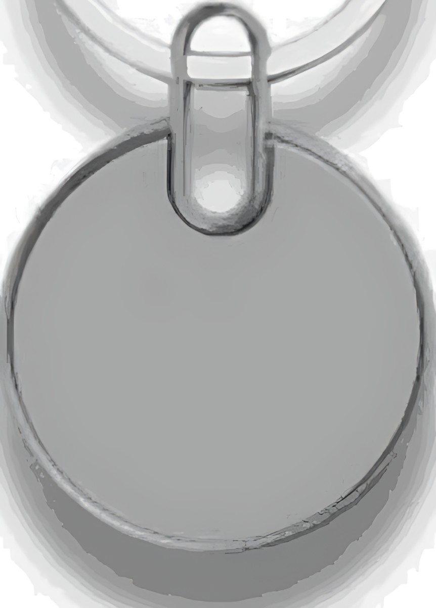 230 Keychain – corporate gift