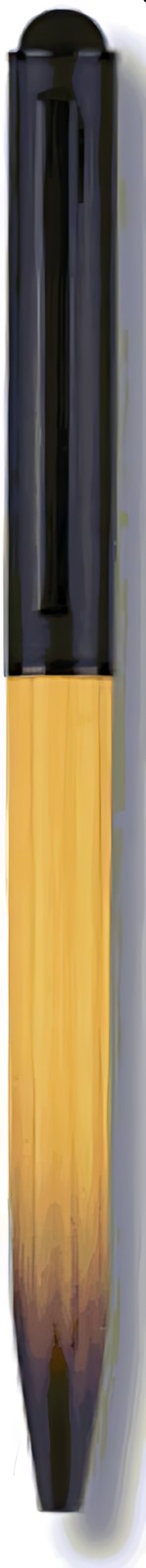 Gravity Dual Col Pen – corporate gift