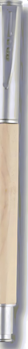 Orion E RP Pen – Option 2 – corporate gift